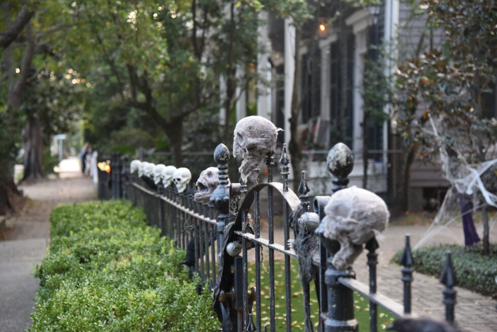 Haunted History Halloween Traditions in New Orleans Undergraduate